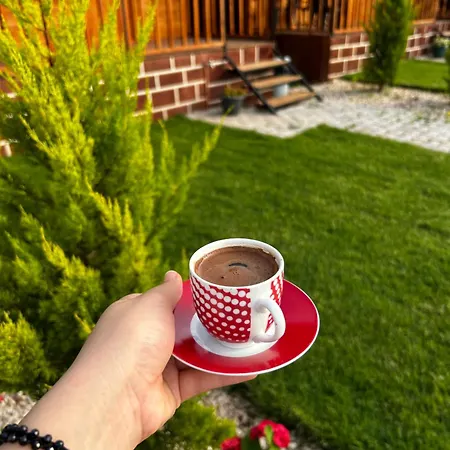 Apart Otel Adrasan Yeşim Evleri